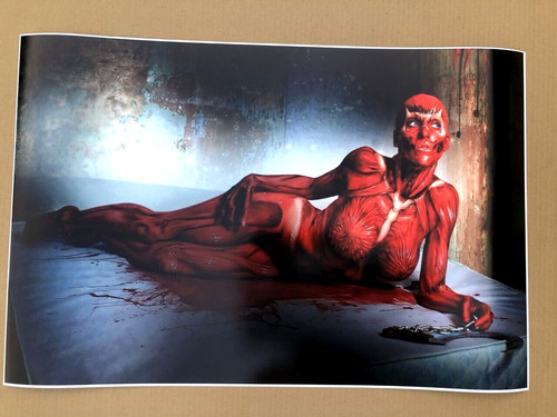 Rare 20x30 hellraiser clare - hellraiser,